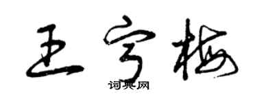 曾慶福王寧梅草書個性簽名怎么寫