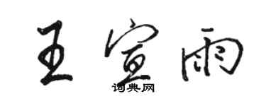 駱恆光王宣雨行書個性簽名怎么寫