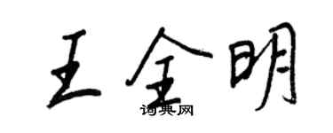 王正良王全明行書個性簽名怎么寫