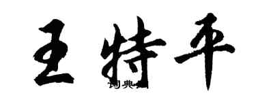 胡問遂王特平行書個性簽名怎么寫