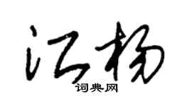 朱錫榮江楊草書個性簽名怎么寫