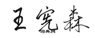 駱恆光王憲森行書個性簽名怎么寫