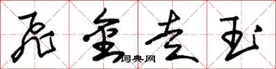 朱錫榮飛金走玉草書怎么寫