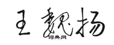 駱恆光王魏揚草書個性簽名怎么寫