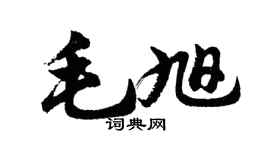 胡問遂毛旭行書個性簽名怎么寫