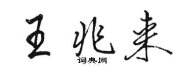 駱恆光王兆來行書個性簽名怎么寫