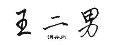 駱恆光王二男行書個性簽名怎么寫