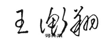 駱恆光王衡翔草書個性簽名怎么寫