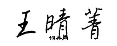 王正良王晴菁行書個性簽名怎么寫