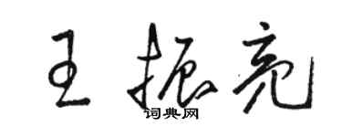 駱恆光王振亮草書個性簽名怎么寫