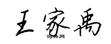 王正良王家禹行書個性簽名怎么寫