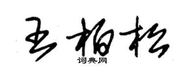 朱錫榮王柏松草書個性簽名怎么寫