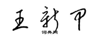 梁錦英王新甲草書個性簽名怎么寫