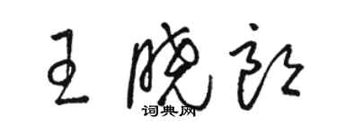 駱恆光王曉朗草書個性簽名怎么寫