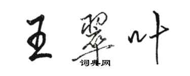 駱恆光王翠葉行書個性簽名怎么寫