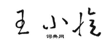 駱恆光王小憶草書個性簽名怎么寫