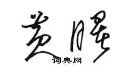 駱恆光黃曙草書個性簽名怎么寫