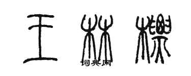 陳墨王林標篆書個性簽名怎么寫