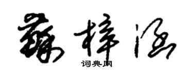 朱錫榮蘇梓涵草書個性簽名怎么寫