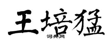 翁闓運王培猛楷書個性簽名怎么寫