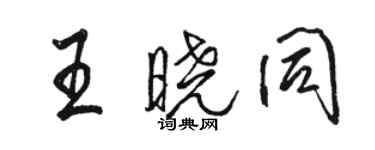 駱恆光王曉同行書個性簽名怎么寫