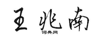 駱恆光王兆南行書個性簽名怎么寫