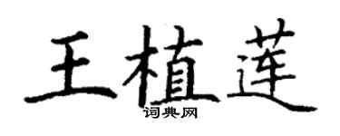 丁謙王植蓮楷書個性簽名怎么寫