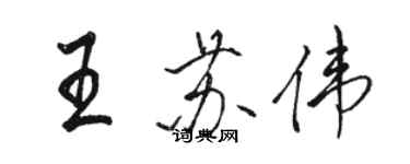 駱恆光王蘇偉行書個性簽名怎么寫