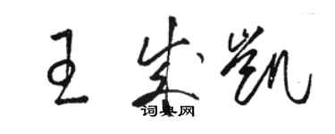 駱恆光王成凱草書個性簽名怎么寫