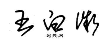 朱錫榮王白微草書個性簽名怎么寫