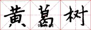 周炳元黃葛樹楷書怎么寫