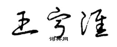 曾慶福王寧淮草書個性簽名怎么寫