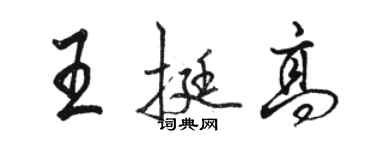 駱恆光王挺高行書個性簽名怎么寫