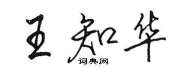 駱恆光王知華行書個性簽名怎么寫