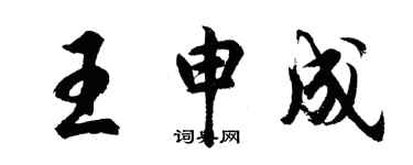 胡問遂王申成行書個性簽名怎么寫
