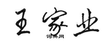 駱恆光王家業行書個性簽名怎么寫