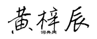 王正良黃梓辰行書個性簽名怎么寫