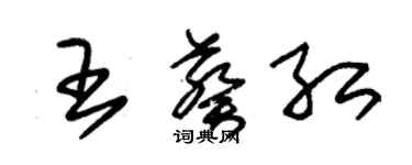 朱錫榮王葵紅草書個性簽名怎么寫