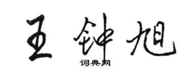 駱恆光王鍾旭行書個性簽名怎么寫