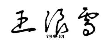 曾慶福王浪雪草書個性簽名怎么寫