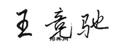 駱恆光王競馳行書個性簽名怎么寫