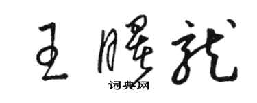 駱恆光王曙龍草書個性簽名怎么寫