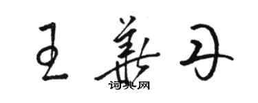 駱恆光王華丹草書個性簽名怎么寫