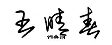 朱錫榮王晴春草書個性簽名怎么寫
