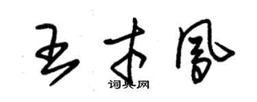 朱錫榮王才鳳草書個性簽名怎么寫