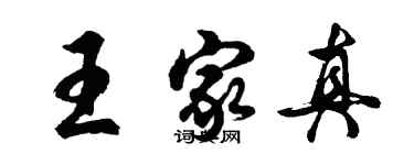 胡問遂王家真行書個性簽名怎么寫