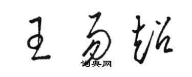 駱恆光王易超草書個性簽名怎么寫