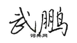 駱恆光武鵬行書個性簽名怎么寫