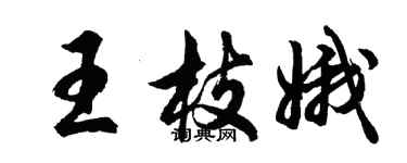 胡問遂王枝娥行書個性簽名怎么寫