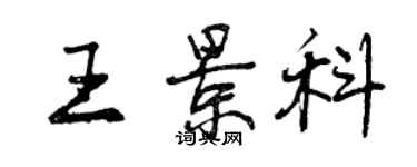 曾慶福王景科行書個性簽名怎么寫